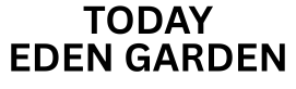 Today Eden Garden Juinagar